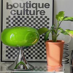 a green plant sitting on top of a glass table next to a potted plant