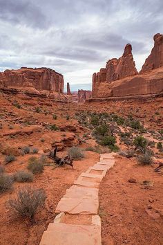 a stone path in the middle of a desert