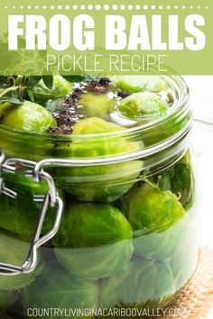 a glass jar filled with pickled green vegetables and the words frog balls pickle recipe