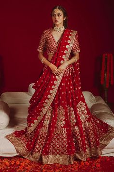 Red Bridal Lehenga, Embroidery Organza, Dupatta Dress, Sari Lehenga, Organza Bridal, Red Lehenga Choli, Pakistani Bridal Dress, Bridal Dupatta, Pakistani Designer Clothes