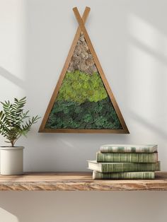 there is a shelf with books on it next to a potted plant and a triangle shaped wall hanging