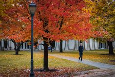 a man walking down a sidewalk next to trees with orange and red leaves on it