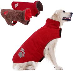 a dog wearing a red coat with paw prints