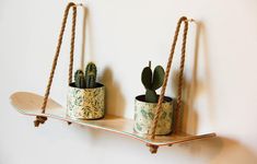 two potted plants sitting on top of a wooden shelf