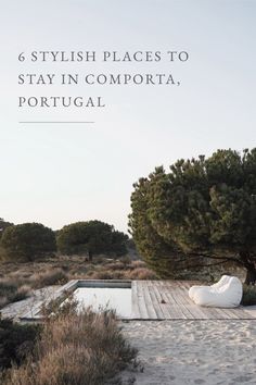 a white chair sitting on top of a sandy beach next to a tree and water