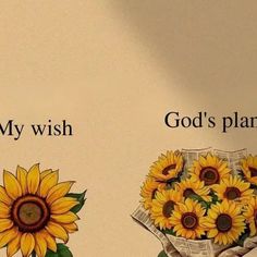 two sunflowers with the words god's plan and my wish written on them