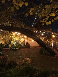 a tree that is leaning over in the middle of a courtyard at night with lights on it