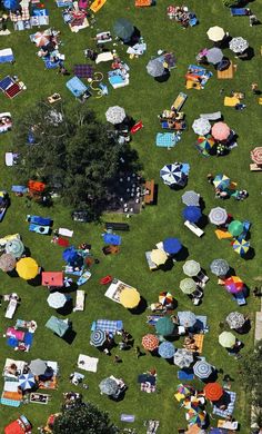 an aerial view of many lawn chairs and umbrellas on the grass, with trees in the background