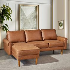 a living room with a couch, ottoman and potted plant on the floor in front of it