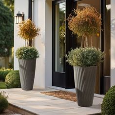 two large planters with plants in them on the side of a home's front porch