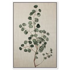 a plant with green leaves is shown on a white background in a black frame, it appears to be an art work