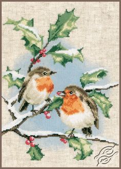 two birds are sitting on a branch with holly leaves and berries in the snow, one is orange and the other is brown