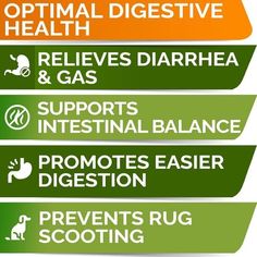 Ease your pal's sensitive stomach issues with StrellaLab Vet Strength Probiotics Bacon Flavored Soft Chew Digestion & Immunity Supplement for Dogs! This soft chew supplement offers extra support for dogs with an unhealthy gut flora caused by illness or a poor diet. Each serving is packed with one billion CFU of probiotics plus prebiotics, enzymes, and fiber from pumpkin seed. By promoting healthy gut flora, these chews can aid in healthy digestion, help fight off potential pathogens, and bolster Gut Flora, Dog Weight, Stomach Issues, Flavored Bacon, Stronger Immune System, Sensitive Stomach, Pumpkin Seed, Upset Stomach, Dog Supplements