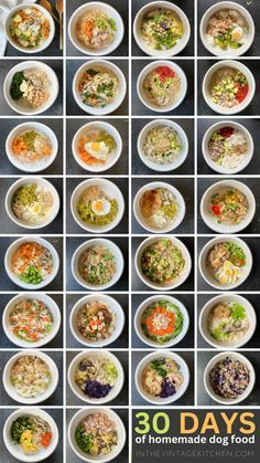 the cover of 30 days of homemade dog food with pictures of different bowls and plates