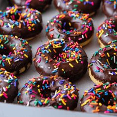 chocolate frosted donuts with sprinkles in a box