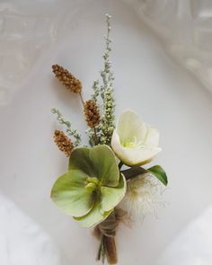 two white flowers and some green leaves on a table