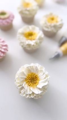 small white and yellow flowers are next to some crochet hooks on a table