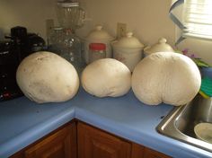 the kitchen counter is covered with three large, round breaded doughnuts sitting on it's surface