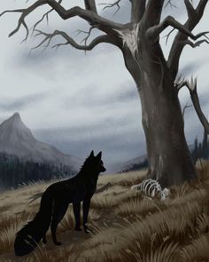 a wolf standing next to a dead tree on a field with zebras in the background