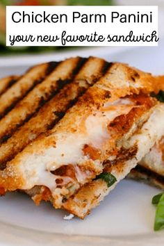 grilled chicken parm panini on a white plate