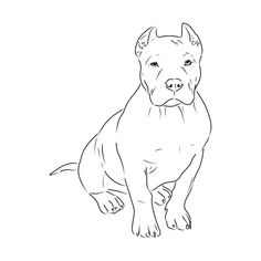 a drawing of a pitbull dog sitting on the ground, looking at the camera