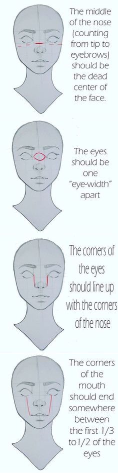 an info sheet with instructions on how to draw the face