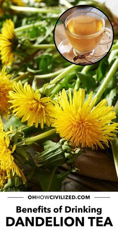 dandelion tea with the words benefits of drinking dandelion tea