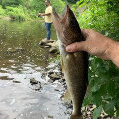 a person holding a fish in their hand while another man stands on the river bank