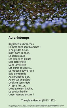 a poster with blue flowers in the grass and words written in french on it that read au printemps