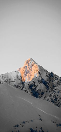 a mountain covered in snow with the sun setting on it's peak and some trees