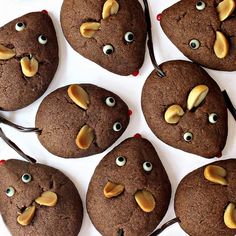 chocolate cookies with googly eyes and ears are arranged on a white surface, ready to be eaten