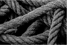 A Tangled Mess: Addressing the Knots of Autoimmune Conditions — Genesis Performance Chiropractic of Elverson, PA Black And White Wallpapers, Mthfr Gene Mutation, Gene Mutation, Mthfr Gene, White Wallpapers, Mold Exposure, Codependency Relationships, Black Rope, Health Life