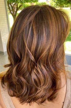 Warm Brown Hair, Rambut Brunette, Chestnut Hair Color, Brown Hair Inspo, Brunette Hair With Highlights, Caramel Hair, Hair Color Auburn, Beautiful Hair Color, Brown Hair Balayage