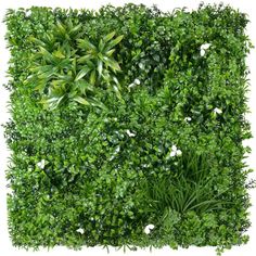 the top view of a green wall with white flowers and greenery on it's sides