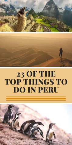 the top things to do in peru