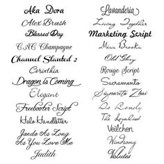 several different types of calligraphy written in cursive writing, each with their own name