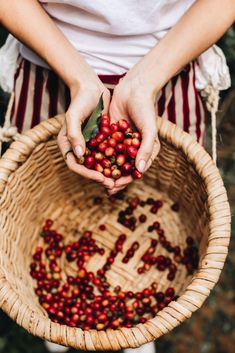 a person holding a basket full of berries in their hands with the word love written on it