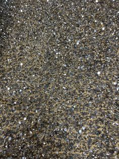 the ground is covered with small rocks and gravel