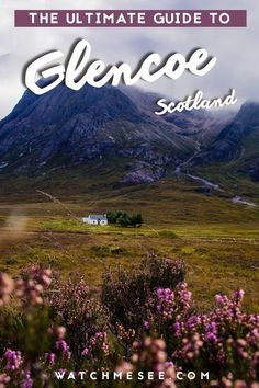 the ultimate guide to elencee scotland with text overlay