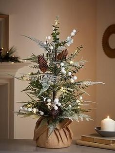 a small christmas tree in a pot on a table next to a candle and books