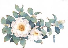 a painting of two white flowers with green leaves