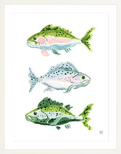 three fish are shown in watercolor and ink on paper, each with different colors