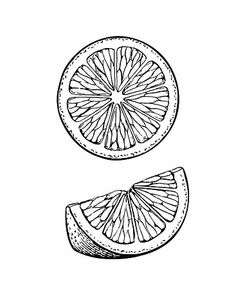 an orange sliced in half on a white background with black lines and dots, hand drawn