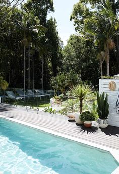 a pool surrounded by trees and plants next to a wooden deck with chairs on it