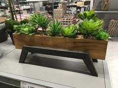 a wooden planter filled with succulents on top of a counter in a store