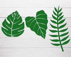 Leaf Svg, Svg For Cricut, Flower Clipart, Nov 2, Party Favor Bags, Tropical Leaves, Birthday Party Favors, Png Files, Svg File