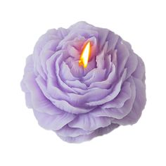 a purple flower with a lit candle in it's center on a white background