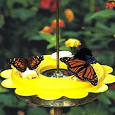 two butterflies sitting on top of a yellow bird bath