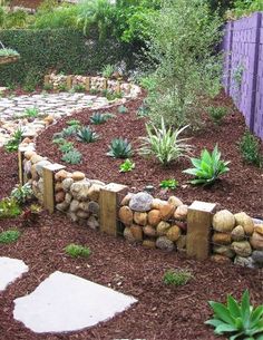 a garden with rocks and plants in it