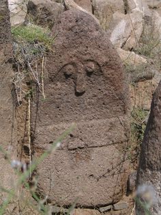 a face carved into the side of a rock in an area with rocks and plants